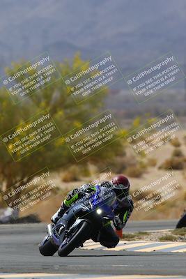 media/Apr-10-2022-SoCal Trackdays (Sun) [[f104b12566]]/Turn 5 Tree of Life (1040am)/